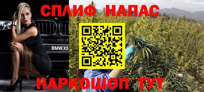 spice Пенза