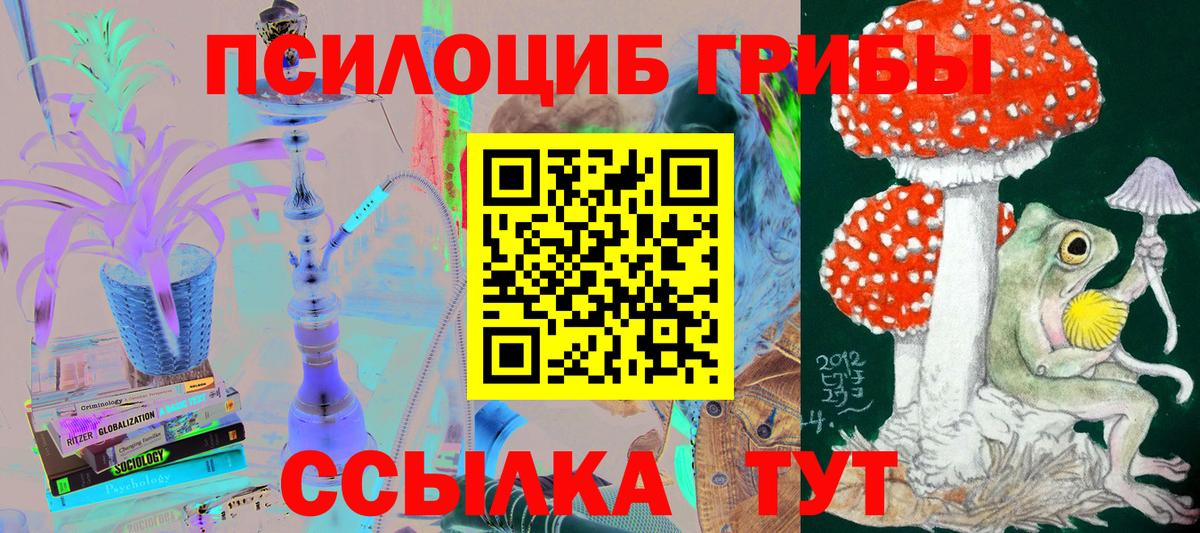 купить наркотик  Вход с VPN  Галлюциногенные грибы мухоморы  Свободный  Псилоцибиновые грибы GOLDEN TEACHER 