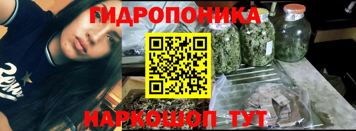 Бошки марихуана планчик  Бошки марихуана конопля  Свободный  Каннабис OG Kush  Вход с VPN 